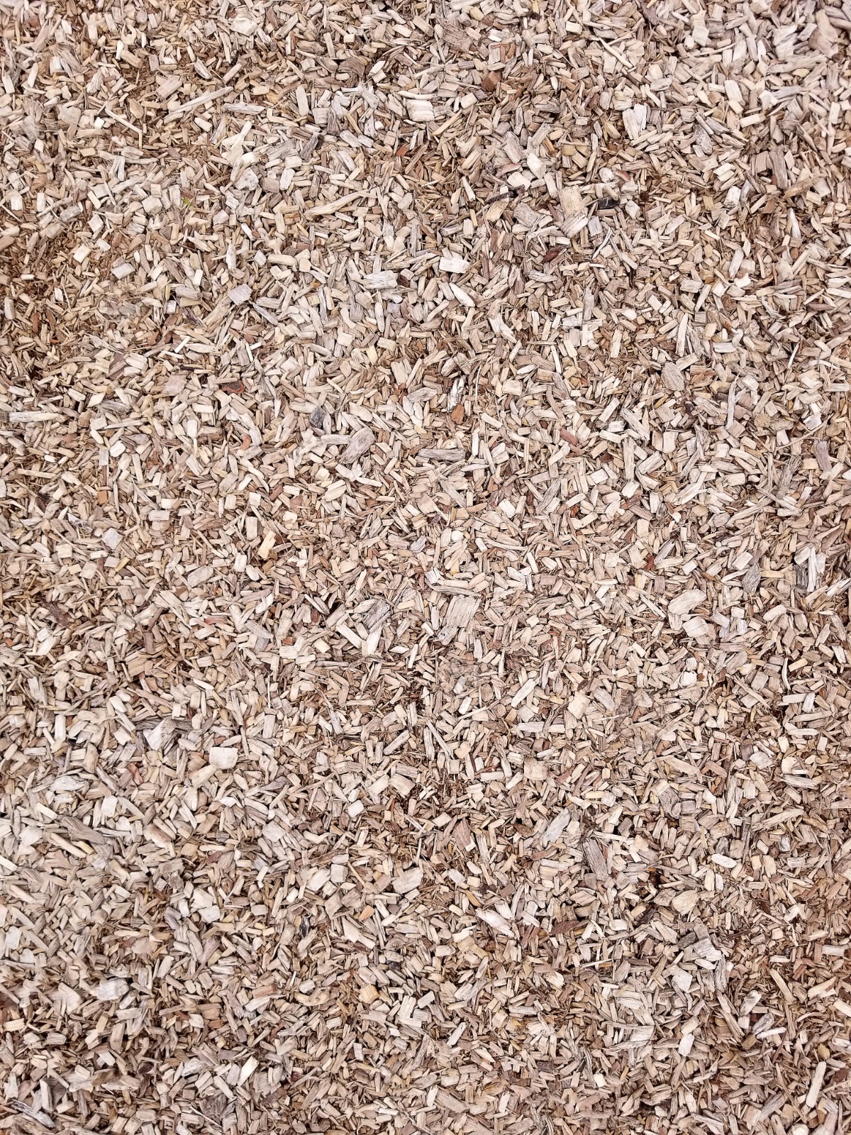 product_wood_shavings_name