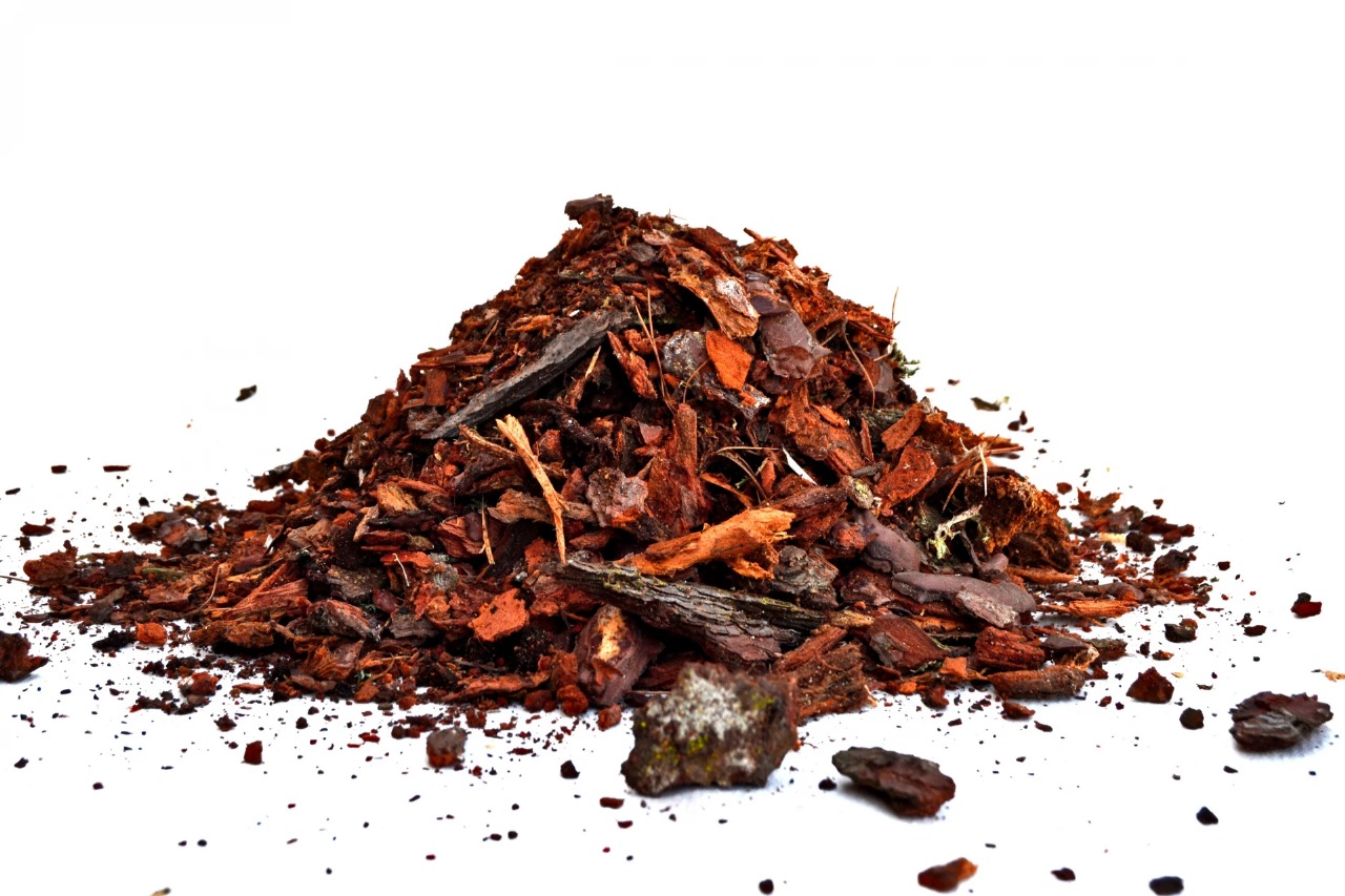 product_pine_bark_name